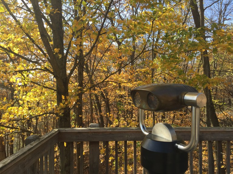 2017-10-26 13.56.39.jpg